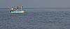 Click image for larger version. 

Name:	steve with tarpon in air.jpg 
Views:	305 
Size:	98.0 KB 
ID:	11906