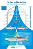 Click image for larger version. 

Name:	trout-steelhead-diagram.jpg 
Views:	119 
Size:	11.6 KB 
ID:	13944