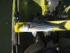 Click image for larger version. 

Name:	striper (3 of 3)_scrubbed.png 
Views:	213 
Size:	1.88 MB 
ID:	16363