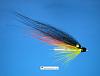 Click image for larger version. 

Name:	tube-fly-salmon.jpg 
Views:	179 
Size:	498.5 KB 
ID:	16818