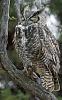 Click image for larger version. 

Name:	sleeping in ghost juniper 2024.jpg 
Views:	1395 
Size:	669.3 KB 
ID:	20112