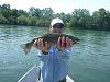 Click image for larger version. 

Name:	Lower Sac Trout.jpg 
Views:	139 
Size:	94.9 KB 
ID:	8909
