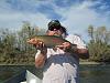 Click image for larger version. 

Name:	Feather River 11-7-13 Fish 2A.jpg 
Views:	320 
Size:	94.6 KB 
ID:	8056