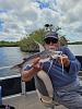 Click image for larger version. 

Name:	gafftopsail catfish.jpg 
Views:	142 
Size:	110.0 KB 
ID:	16849