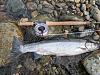 Click image for larger version. 

Name:	Steelhead1.13.20.jpg 
Views:	634 
Size:	4.99 MB 
ID:	15344