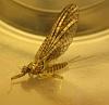 Click image for larger version. 

Name:	Unknown Mayfly 2.jpg 
Views:	292 
Size:	9.4 KB 
ID:	6833