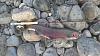 Click image for larger version. 

Name:	first steelhead 2012.jpg 
Views:	846 
Size:	96.8 KB 
ID:	3965