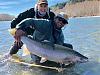 Click image for larger version. 

Name:	Hoh steelhead.jpg 
Views:	352 
Size:	95.7 KB 
ID:	13972