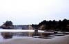 Click image for larger version. 

Name:	3 North of Trinidad beach.jpg 
Views:	137 
Size:	53.2 KB 
ID:	8444