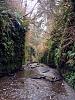 Click image for larger version. 

Name:	8 fern canyon.jpg 
Views:	143 
Size:	101.6 KB 
ID:	8448