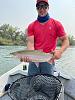 Click image for larger version. 

Name:	Trout.jpg 
Views:	82 
Size:	89.6 KB 
ID:	17863